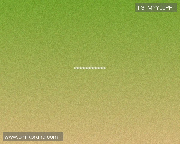 成都网球队阵地战体系深度解析与战术应用探讨