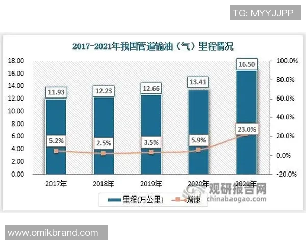 数据分析视角下LNG市场节奏表现的深度探讨与趋势预测