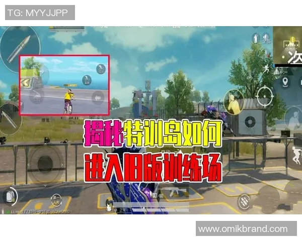 科学和平精英训练方法的创新与实践探索