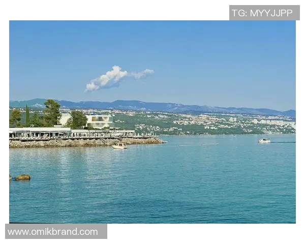 法国对克罗地亚亚指分析及投注建议探讨